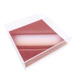 Caurspīdīga rotu kastīte Universal/Medal, sarkana T88L