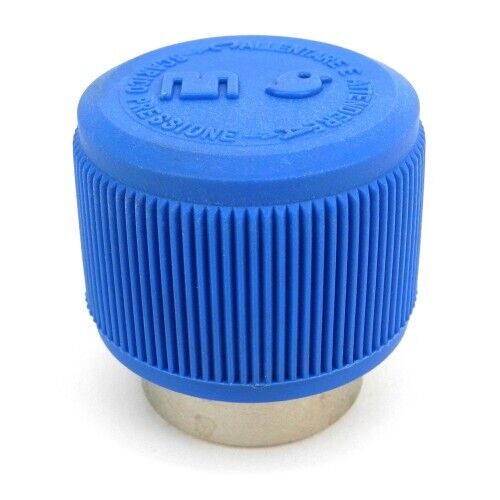 MS-356_Max Steam_Heating cap Max Steam drošības vāciņš 5,5 bar - Image 1